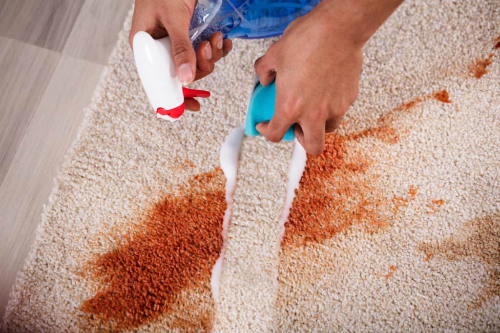 Carpet Cleaning Burnley From Only £15 Per Room Call 01282 212023