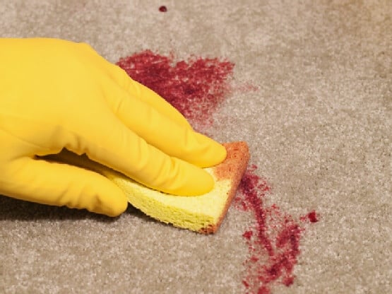carpet cleaner in lancashire