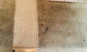 carpet cleaning lancashire