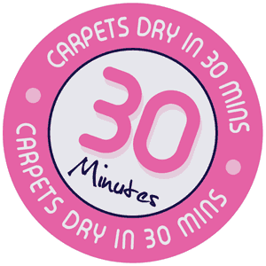 commercial carpet cleaning company