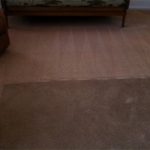 Carpet with distinct cleaning patterns