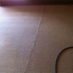 Carpet After Cleaning