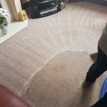 Carpet cleaning in progress