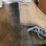 Carpet cleaning in progress showing a noticeable difference between the cleaned and dirty sections of a beige carpet